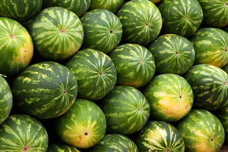 Fresh Harvest Feast